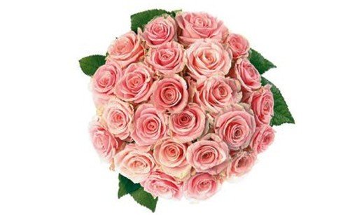 Bouquet of Pink roses
